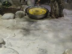 -太原动物园