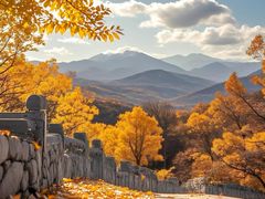 -香山公园