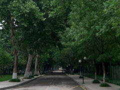 android_upload_pic-山东农业大学(岱宗校区)