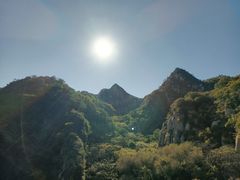-大岭沟猕猴桃谷风景区