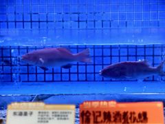 -徐记海鲜(大雁塔|金都店)