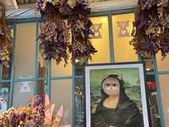 -喵屿·大理花园猫咖