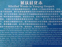 -延庆地质公园博物馆