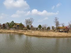 -宁波杭州湾国家湿地公园