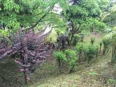 -自贡恐龙博物馆