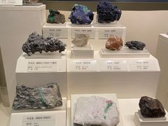 -天津自然博物馆