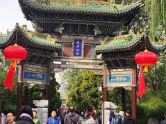 -迎泽公园