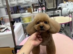 -FAELING PETS美天灵宠物(富力广场店)