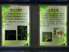 -上海昆虫博物馆