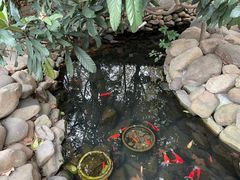 -马勒别墅·中餐厅