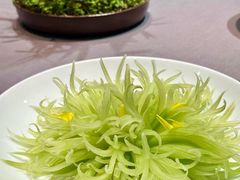 -山壹竹庭院餐厅