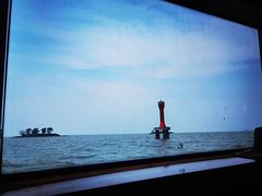 -滕州微山湖红荷湿地景区