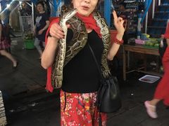 -洞里萨湖