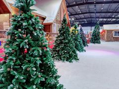 -宁波冰雪大世界(北仑区)