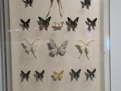 -陕西自然博物馆