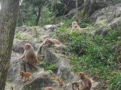 -千岛湖东南湖区