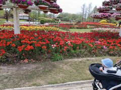 -周浦花海-停车场