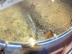 -粤顺渔坊·中山脆肉鲩火锅(清湖店)