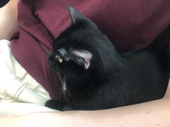 -爱诺耐芙动物医院(万博店)