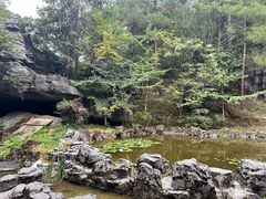 -梭布垭石林景区