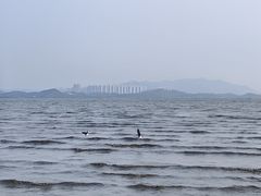 -深圳湾公园(南山区)