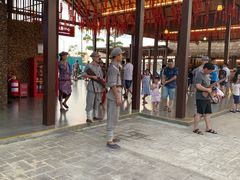 -三亚红色娘子军演艺公园景区