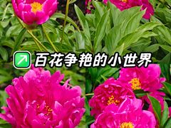 -黑龙江省森林植物园