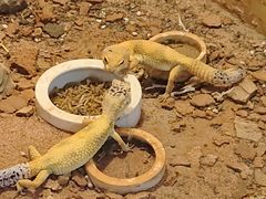 -鄂尔多斯野生动物园