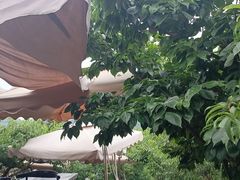 -桃源山庄·水蜜桃采摘·柴火鸡·烧烤团建(龙泉山店)