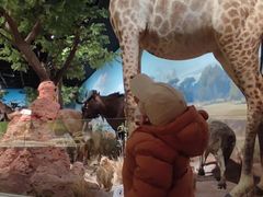 -陕西自然博物馆