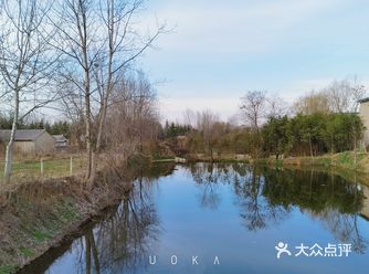 赏花季已到！第一站：唐村