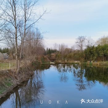 赏花季已到！第一站：唐村