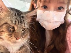 -COLOR PETS 撸猫馆·购猫·猫咖(长风大悦城店)