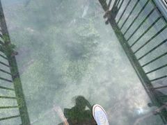 -玻璃桥景区石牛寨