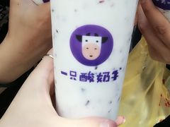 -一只酸奶牛(八一路店)