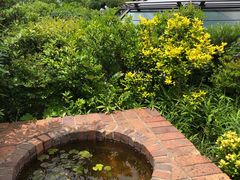 -三鹰之森吉卜力美术馆