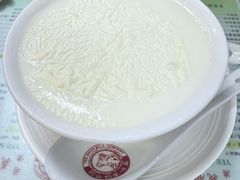 双皮奶-义顺牛奶公司