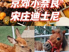 -1982农场