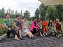 -洪湖家庭农场·团建·露营·会议