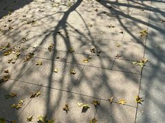 -大雁塔北广场音乐喷泉