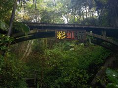 -青青世界