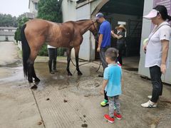 -松声马术俱乐部