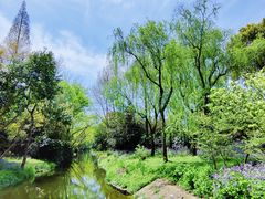 -上海滨江森林公园