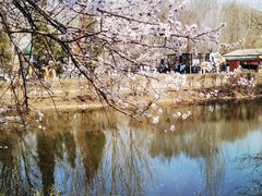 -长白岛森林公园