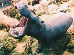 -陕西自然博物馆