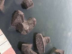 -东疆建设开发纪念公园