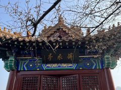 -戏马台景区