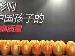 -赫石少儿体能馆(奥森店)