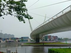 -映月湖中央公园
