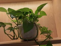 -和记小菜(名品店)